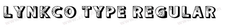 Lynkco Type Regular字体转换